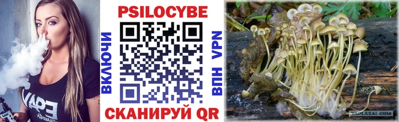 Галлюциногенные грибы Cubensis наркошоп Гулькевичи