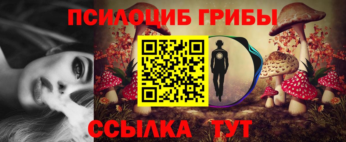 Псилоцибиновые грибы ЛСД Гулькевичи